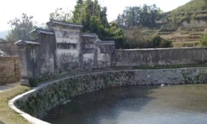 三僚风水经典作品蛇形祠，又名金蛇挂树