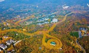 论千年古都南京城风水