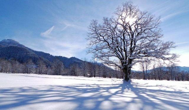 大雪节气